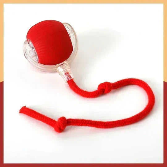 TassuPallo™ | Interaktiivinen leikkipallo koirille ja kissoille
